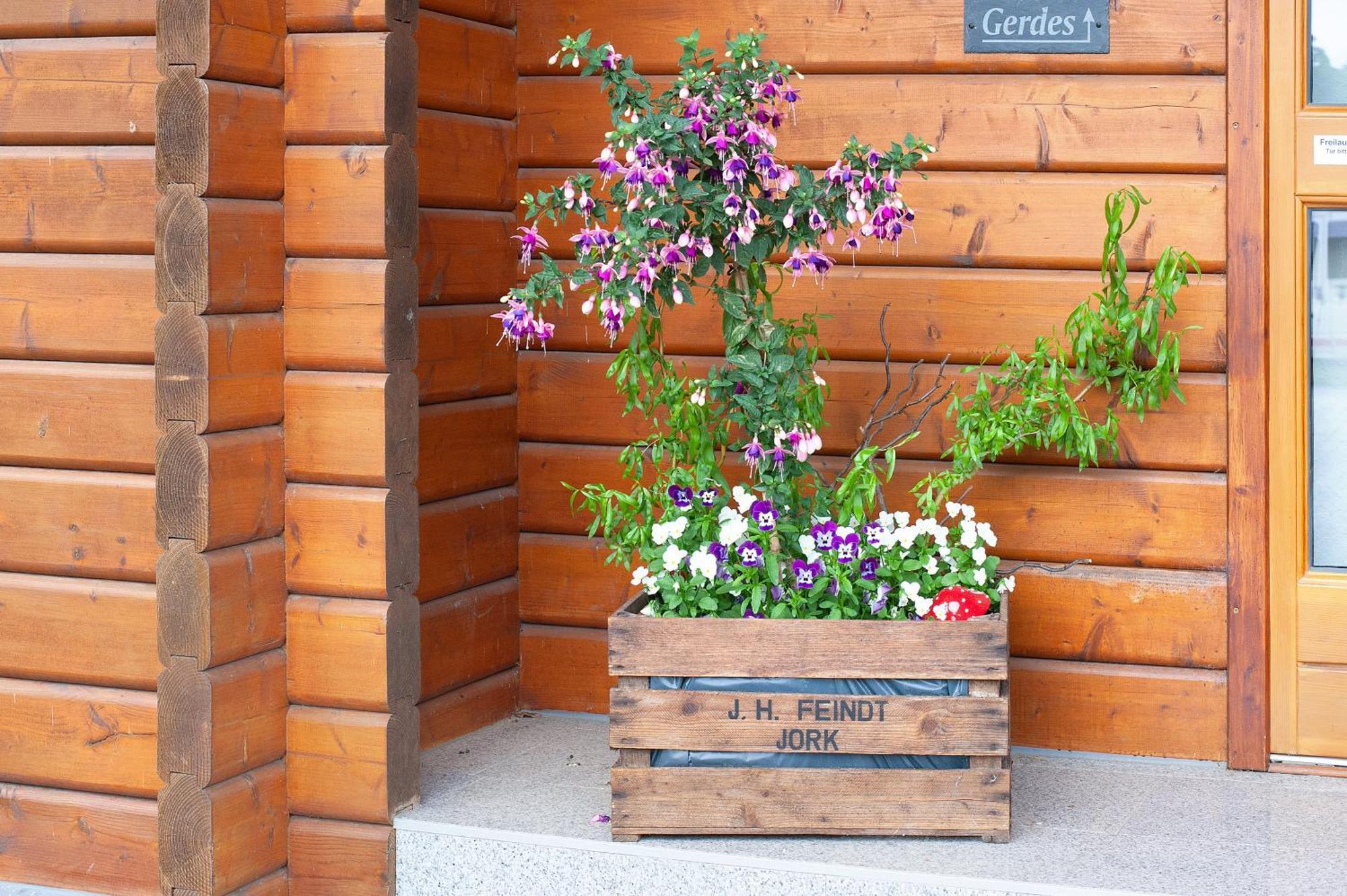 Entenhaus Hilgendorf Exterior photo